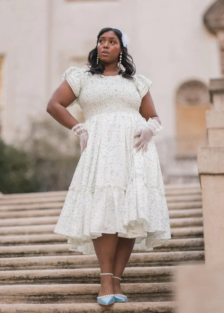 Swan Serenade Dress